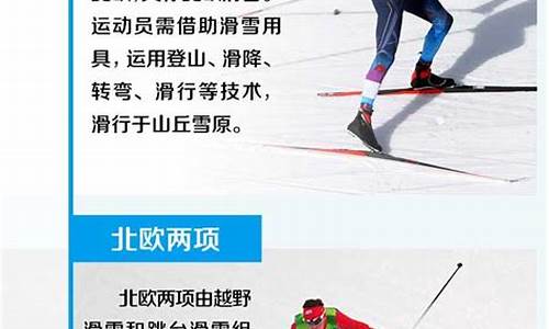 冬奥会比赛项目主要由雪上组成_冬奥会比赛的项目