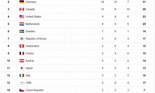 平昌冬奥会奖牌榜排名第八的是_平昌冬奥会奖牌榜排名第三